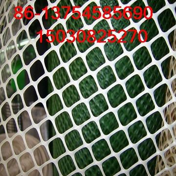 Plastic Wire Mesh,Plastic Plain Netting,Plastic Flat Mesh